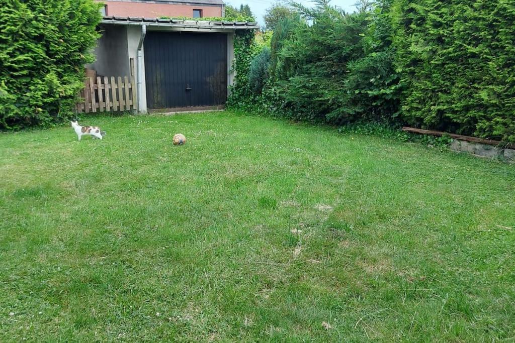 Nazareth Logement Un Magnifique Logement De Vacances Bastogne Exterior photo